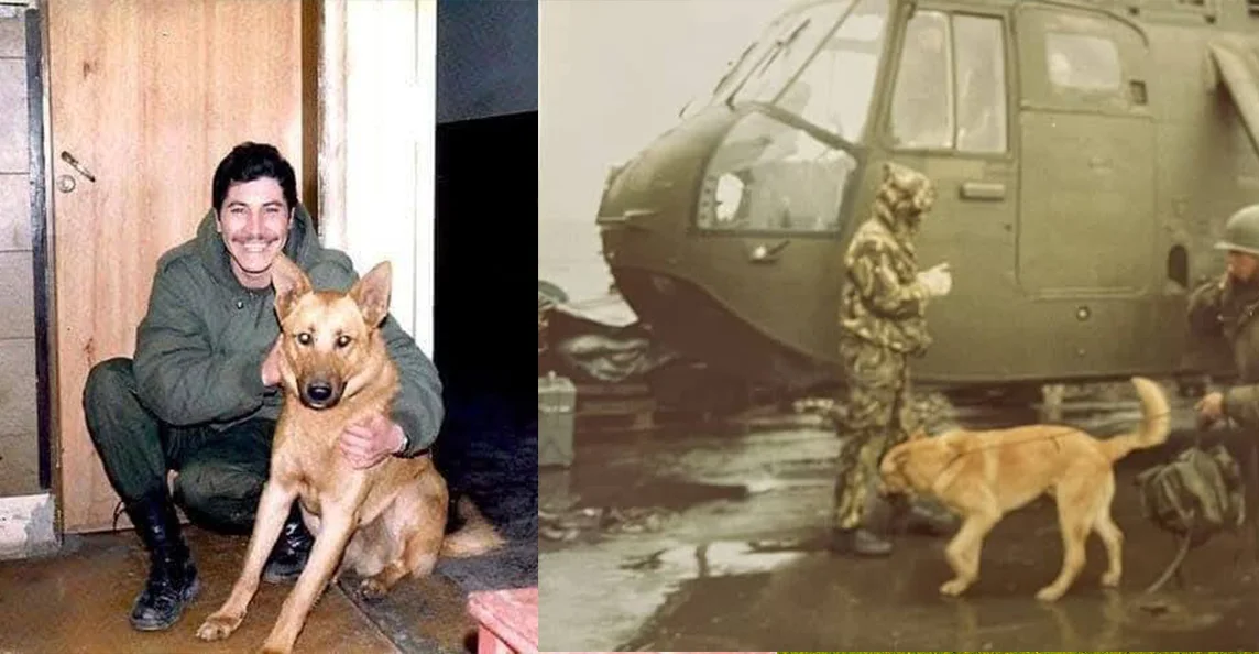 malvinasssssssssssssss